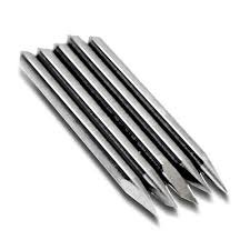 whatsapp image 2025 10 31 at 01.30.46